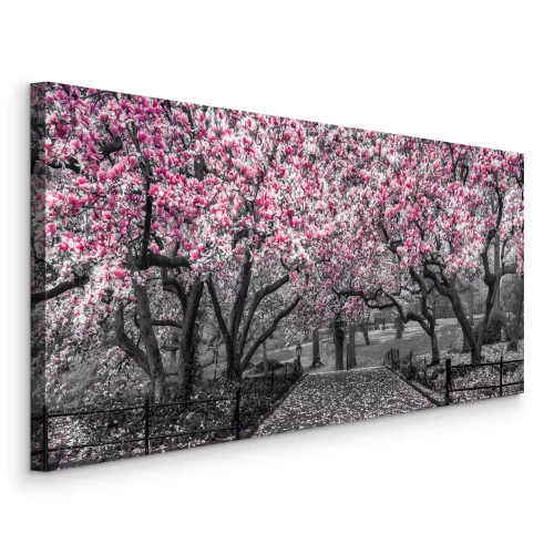 Canvas Bloeiende magnolia&#39;s langs een stenen pad