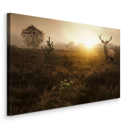 Canvas Herten op de heide in het warme licht