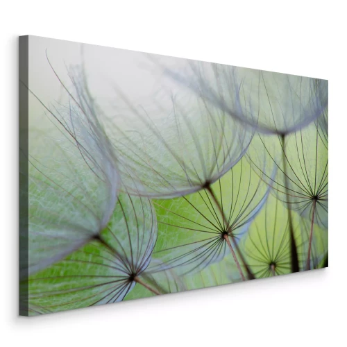 Canvas Close-up van paardenbloemzaden in het groen