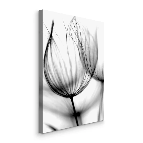 Canvas Delicate structuren van een paardenbloem in macro-opname