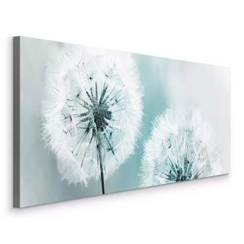 Canvas Twee paardenbloemen in het koude licht