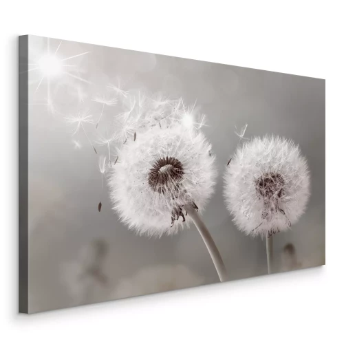 Canvas Heldere paardenbloemen met wegvliegende zaden