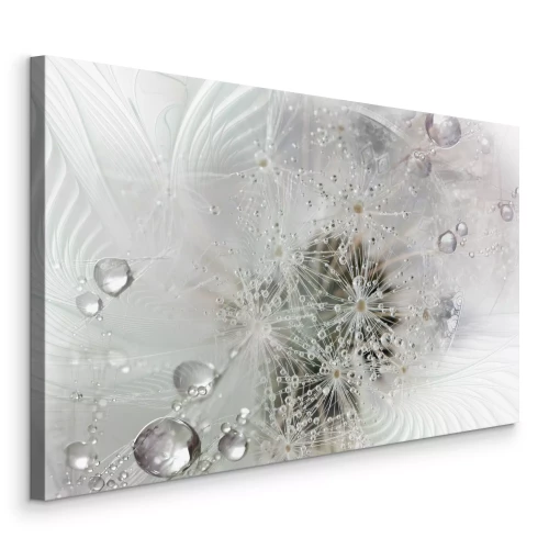 Canvas Paardenbloemen in waterdruppels op een grijze achtergrond