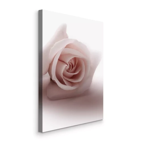 Canvas Floral Glamour Glow (1-part) - Delicate and Pastel Pink Rose