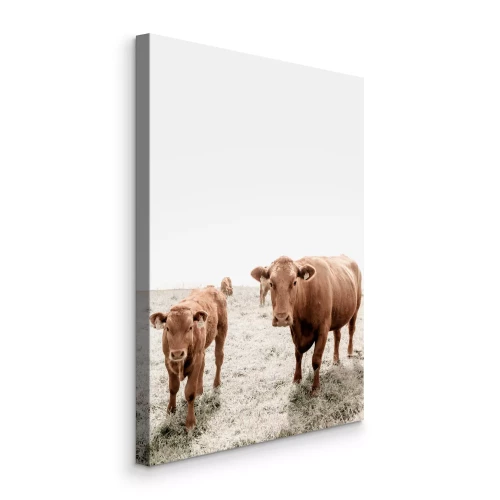 Canvas Bruine koeien staan in een grasveld