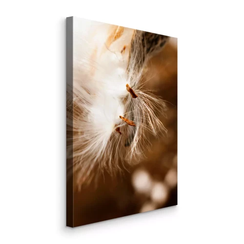 Canvas Delicate paardenbloemzaden op een bruine achtergrond