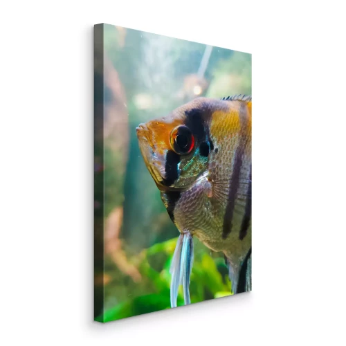 Canvas Een gestreepte vis met zeeplanten op de achtergrond