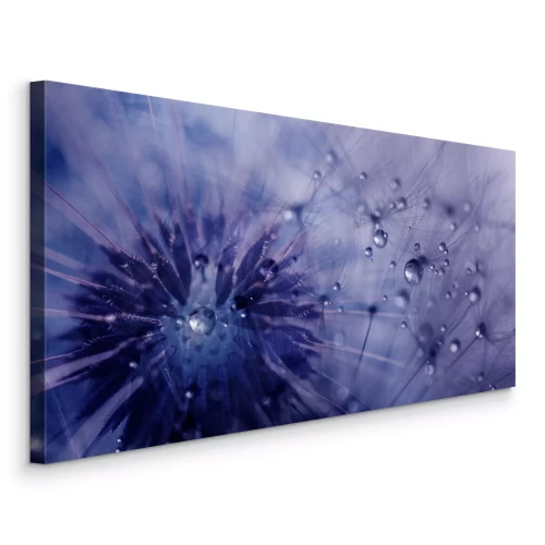 Canvas Paars en blauw paardenbloemmotief met dauw