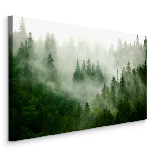 Canvas Bomen in het mistige natuurlijke landschap