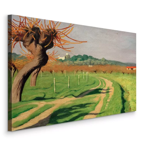 Canvas Een magisch uitzicht op de Cagne-vallei in het subtiele licht van de zon