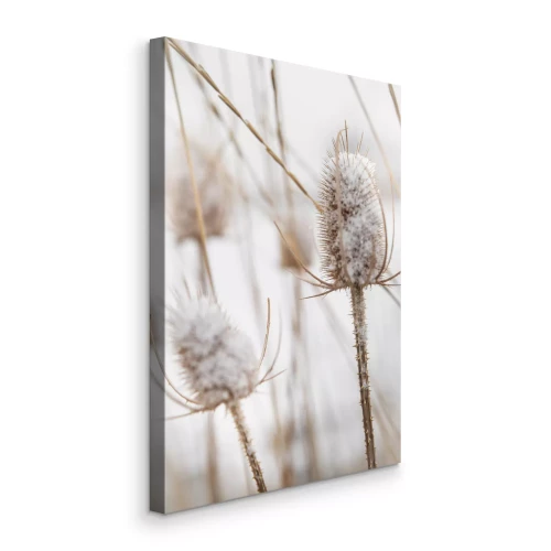 Canvas Grassen in een veld bedekt met sneeuw