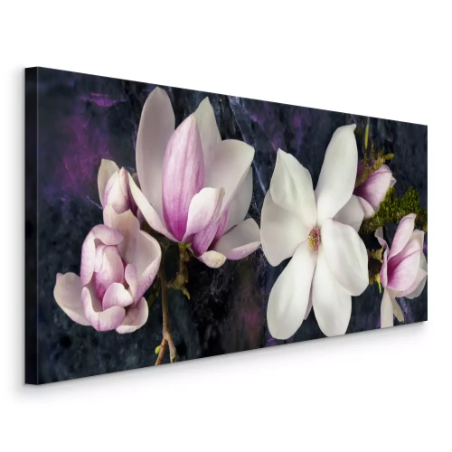 Canvas Magnoliabloemen in tinten roze en wit op een donkere achtergrond