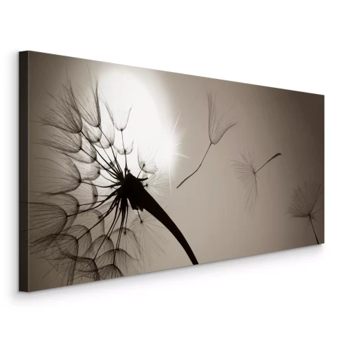 Canvas Paardenbloem en zaden tegen de zon in zwart-wit