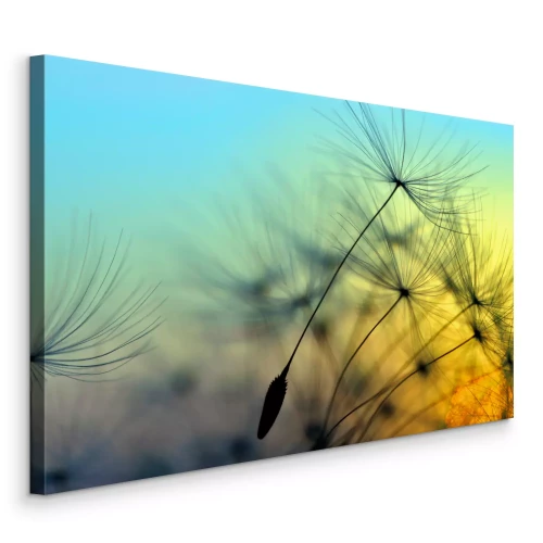 Canvas Close-up van een paardenbloem bij zonsondergang