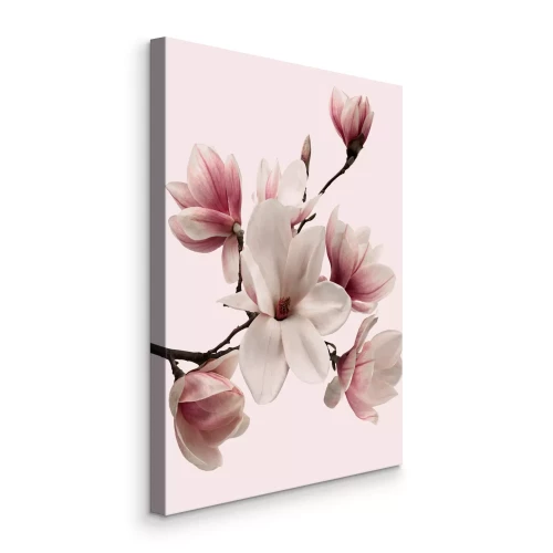 Canvas Een bloeiende magnoliatak in delicaat roze