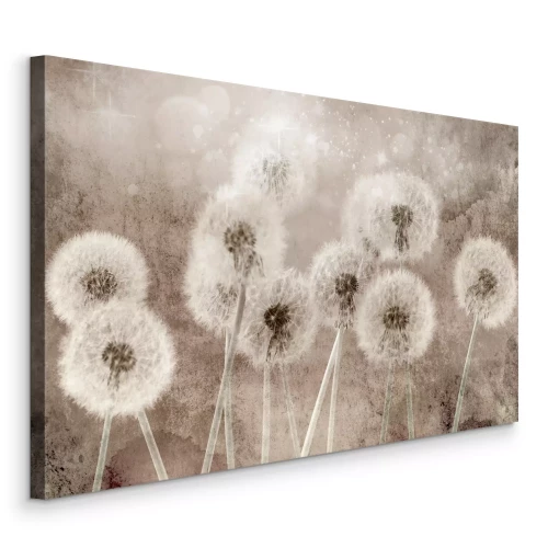 Canvas Pluizige paardenbloemen tegen een beige muur