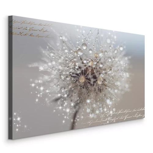 Canvas Macrofotografie van een paardenbloem met dauw en tekst