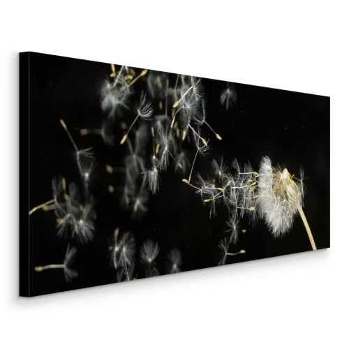Canvas Paardenbloem verspreidt zaden in het donker