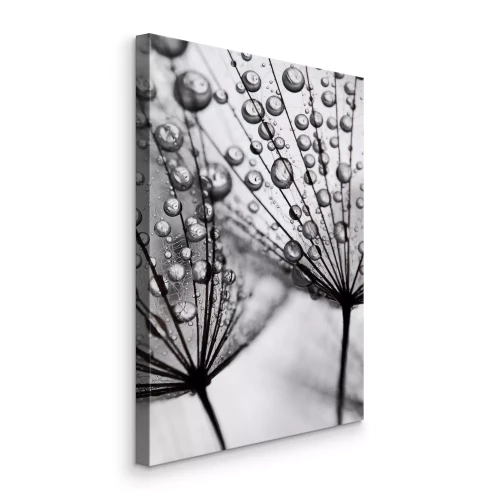 Canvas Dauwdruppels op paardenbloemzaden