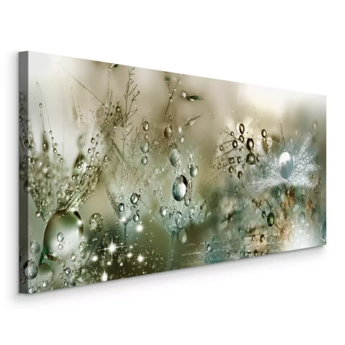 Canvas Macro-opname van dauwdruppels op paardenbloemzaden