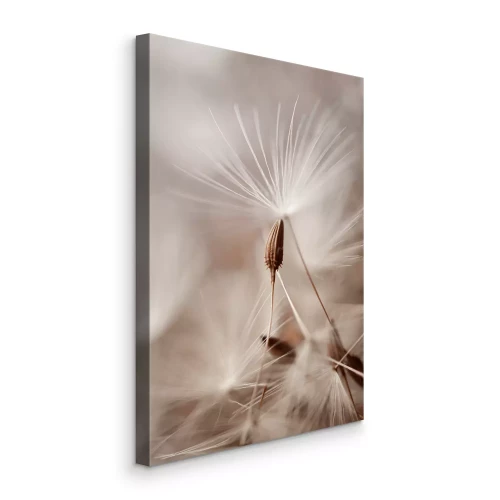Canvas Delicate paardenbloemzaadjes op een beige achtergrond