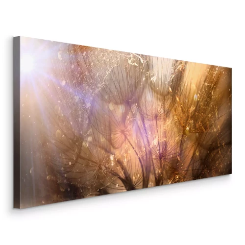 Canvas Gouden paardenbloemen in de lichtstralen