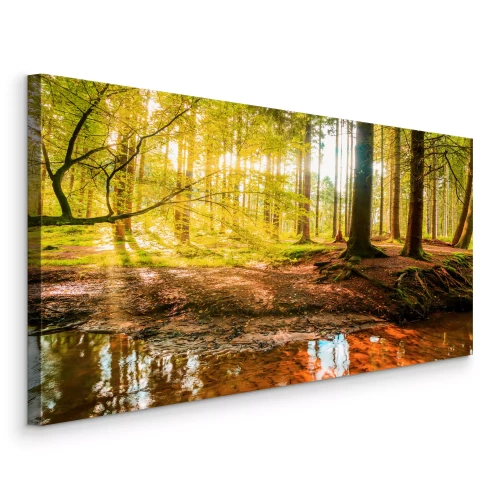 Canvas Een rivier in een zonnig herfstbos