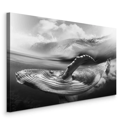 Canvas Zwart-witfoto van een walvis in het water
