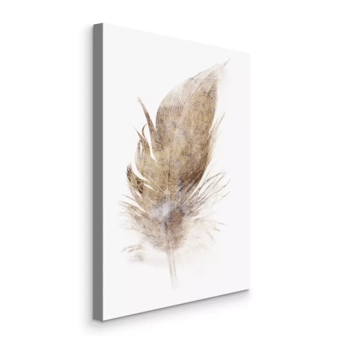 Canvas Een kleine bruine veer