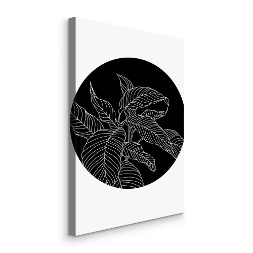 Canvas Witte bladeren op een zwarte achtergrond in een cirkel