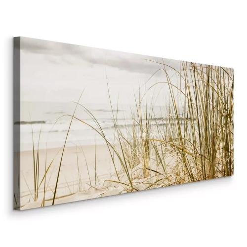 Canvas Strandduinen met droge vegetatie