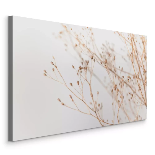 Canvas Delicate gedroogde scheuten met kleine zaadjes