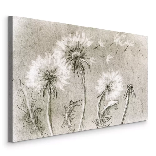 Canvas Tekening van paardenbloemen met wegvliegende zaden in grijstinten