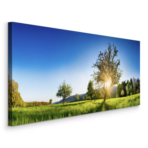 Canvas Bomen in een lenteweide in het ochtendlicht