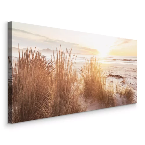 Canvas Zandduinen met grassen in zacht licht