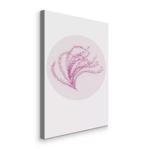 Canvas Een roze plant in een beige cirkel