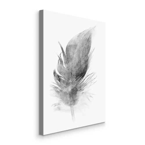 Canvas Grijs veertje