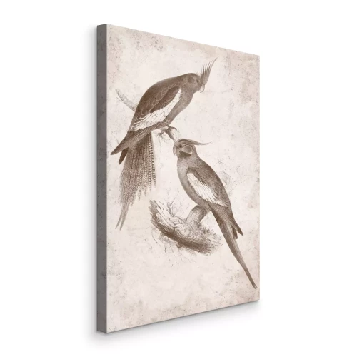 Canvas Schets van papegaaien op beige papier