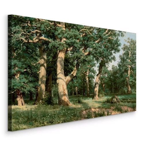 Canvas Stammen van oude eikenbomen in het struikgewas van groen