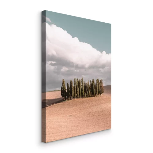 Canvas Cipressen op een heuvel onder een heldere hemel