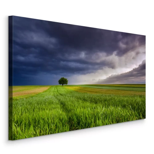 Canvas Een boom in een veld onder een donkere stormachtige lucht