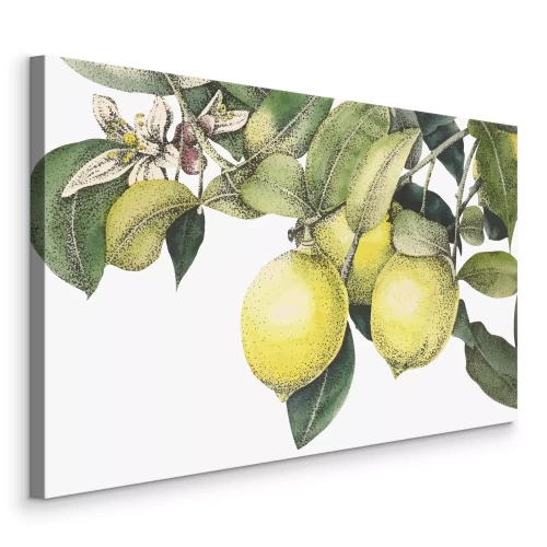 Canvas Citroenplantmotief met groene bladeren en fruit