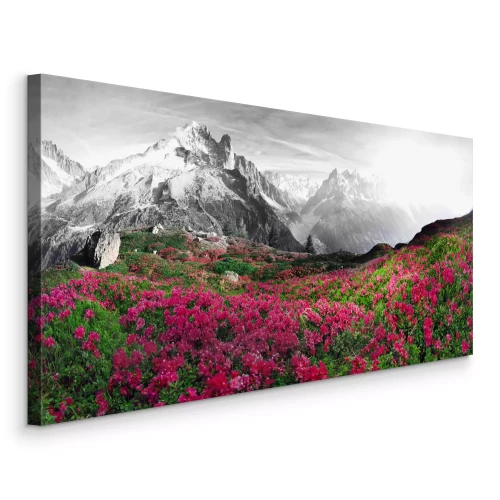 Canvas Het contrast van roze azalea&#39;s en zwart-witte bergen