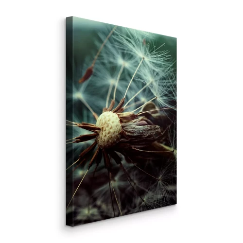 Canvas Een foto van een paardenbloem in de verspreidingsfase