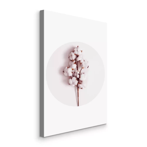 Canvas Een tak katoen in een cirkel