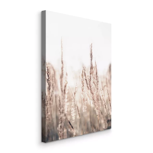 Canvas Delicate grassprietjes tegen een lichte achtergrond