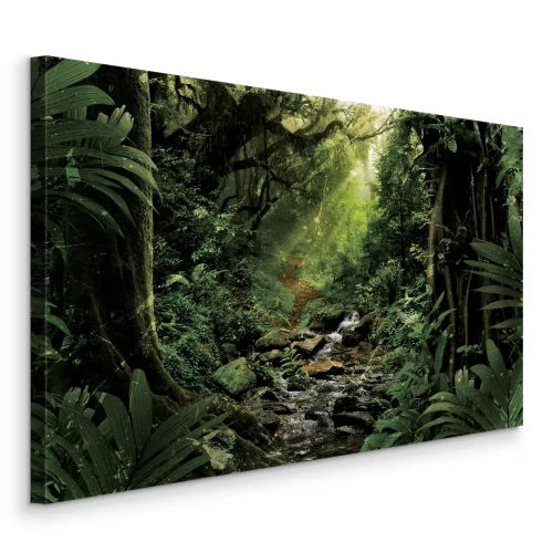 Canvas Een rivierstroom in een tropisch bos