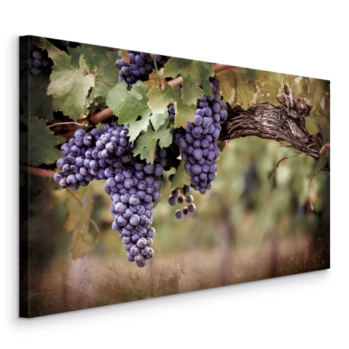 Canvas Wijnrankclusters in de schaduw van groene bladeren