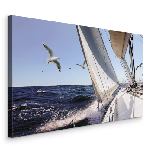 Canvas Een zeilboot en meeuwen op de open zee