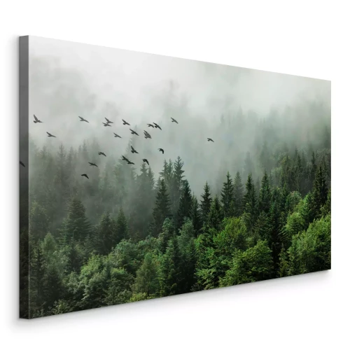 Canvas Mistig naaldlandschap met wilde vogels